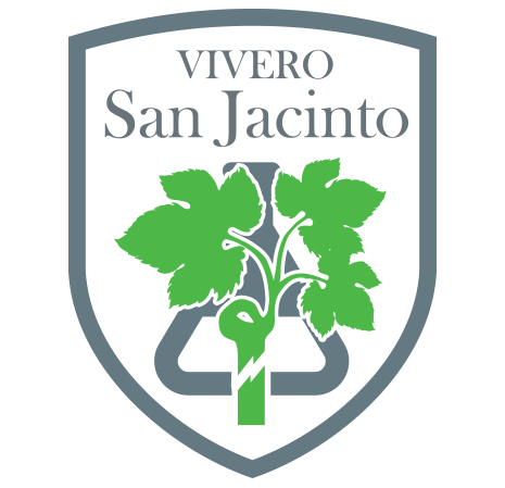 Vivero San Jacinto